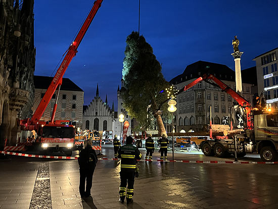 Aufstellung des Christbaums aus Peiting im Landkreis Weilheim-Schongau auf dem Marienplatz  (©Foto: Martin Schmitz)